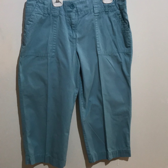 Liz & Co.Green Capris - Picture 1 of 3